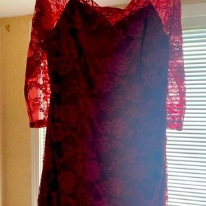 NWT red lace sheath dress with sleeves. Fits like a 14.